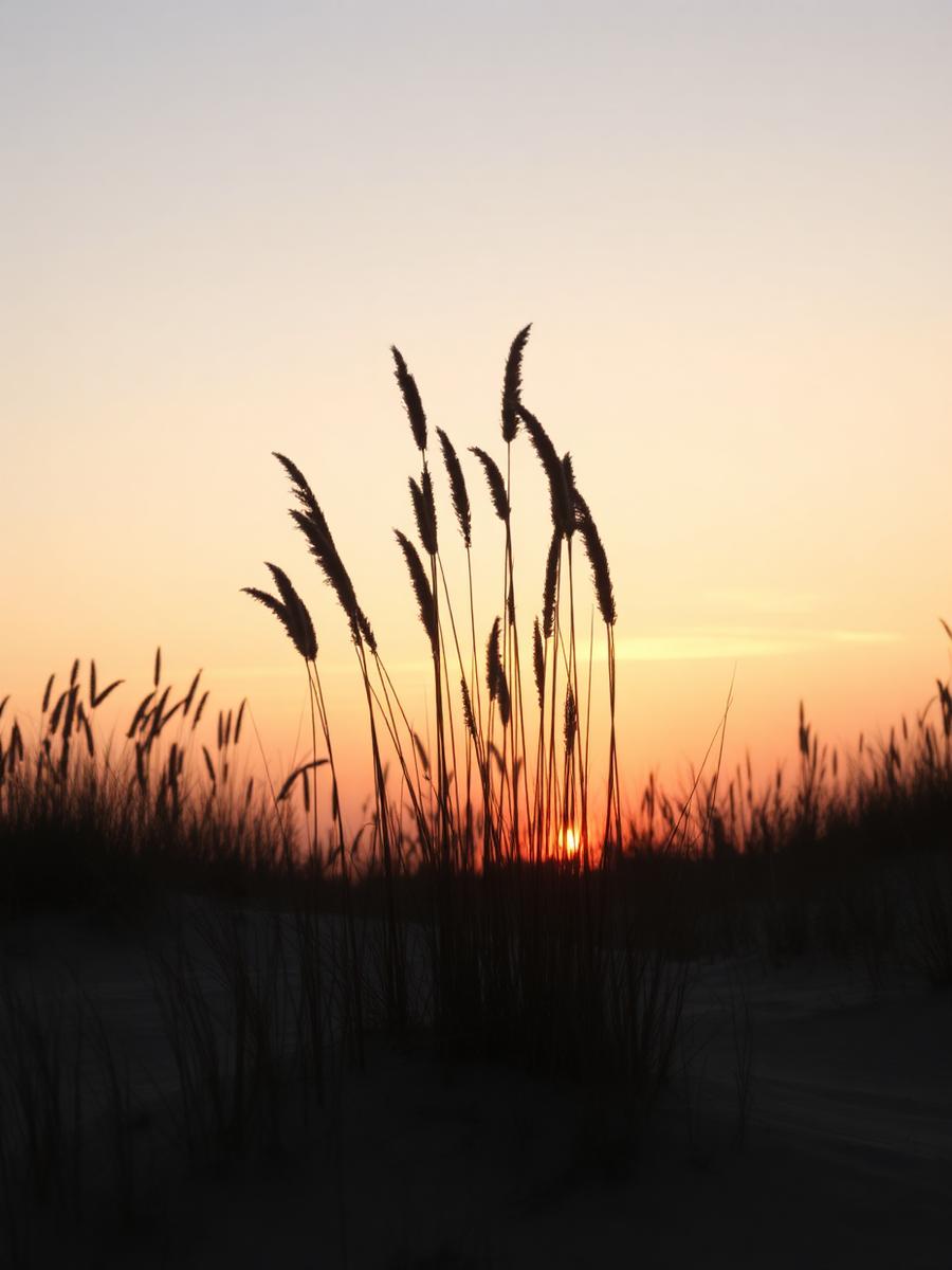 Duinen bij zonsondergang